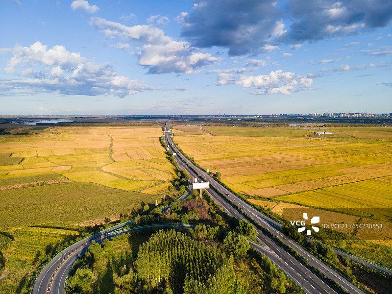 东北秋天金色稻田中的高速公路鸟瞰图片素材