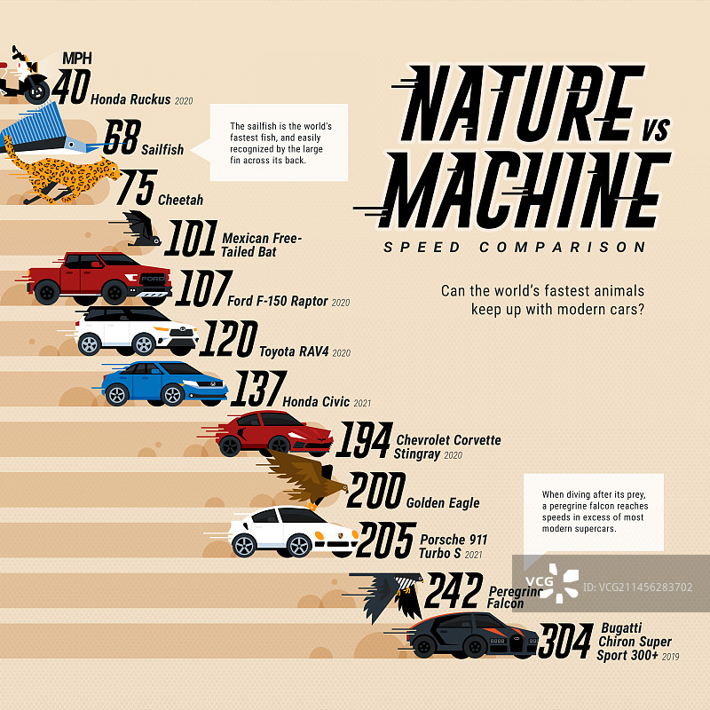 动物速度vs汽车，信息图表图片素材