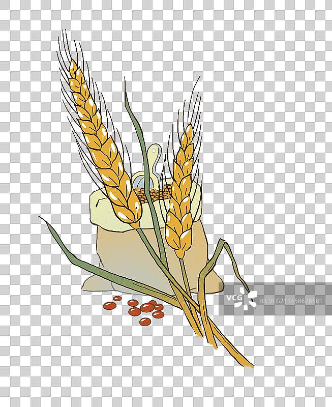 粮食 丰收 小麦 水稻图片素材