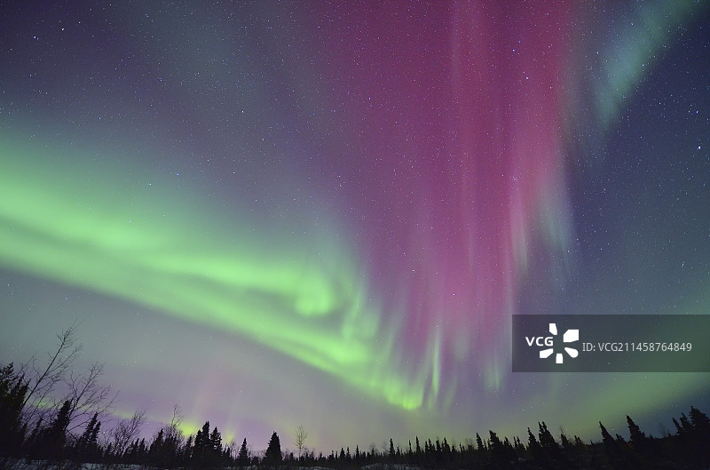 加拿大夜空中的极光图片素材
