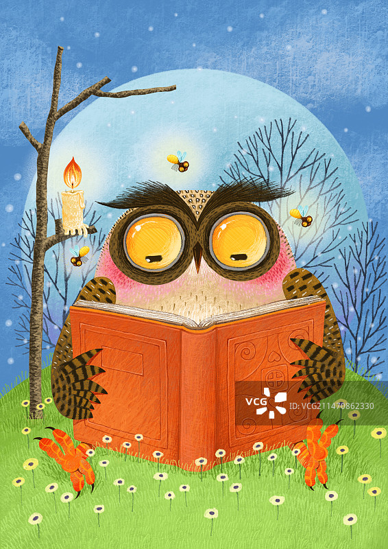认真看书的猫头鹰 萌趣可爱的动物儿童插画图片素材