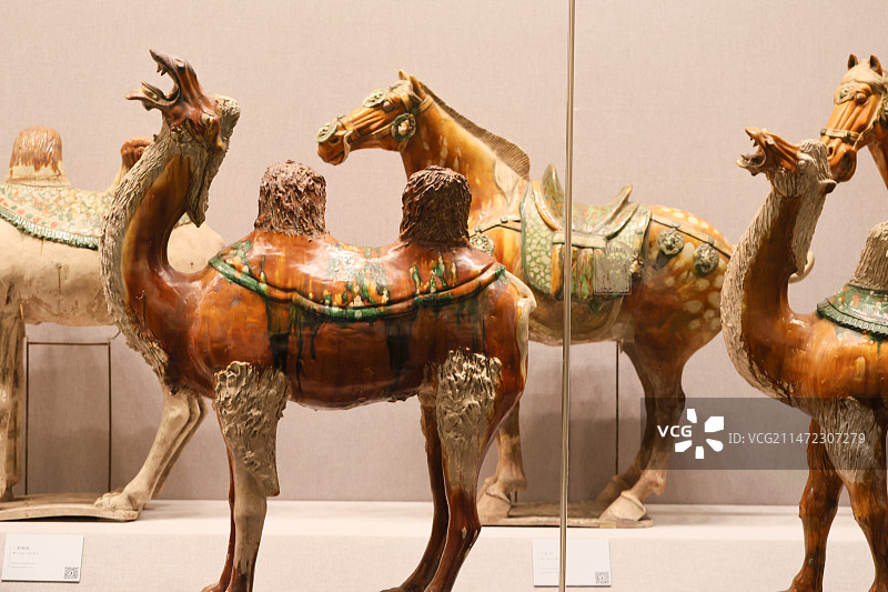 故宫陶瓷馆胡人牵骆驼俑骆驼俑和三彩马三彩胡人骑驼俑。图片素材
