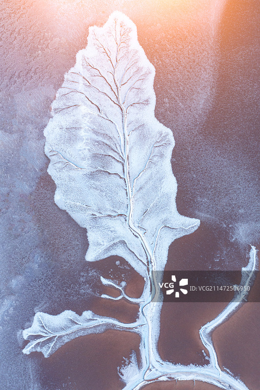 冬季的黄河入海口形成的沙滩树图案图片素材