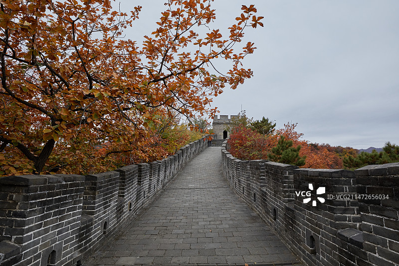 秋天的北京慕田峪长城风景图片素材