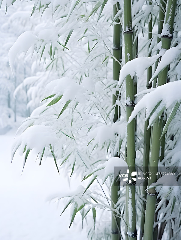 【AI数字艺术】白雪覆盖下的竹子图片素材