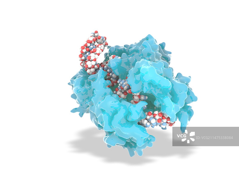 CRISPR-Cas13基因编辑复合体，图示图片素材
