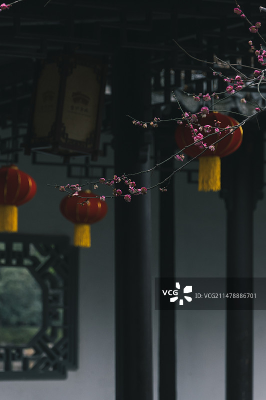 临海东湖公园充满中国韵味的红梅图片素材