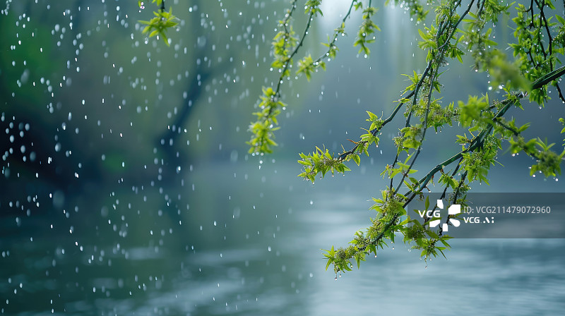 【AI数字艺术】下雨天湖泊旁边的柳枝自然风景图片素材