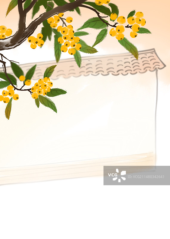 白色背景上的花朵和树叶的高角度视图图片素材