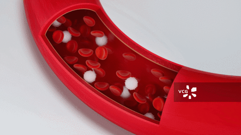 血管内流动的红细胞与白细胞3D渲染图片素材