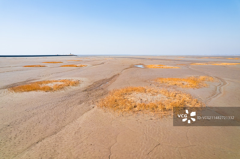 嘉兴海宁钱塘江滩涂上的草地自然风景图片素材
