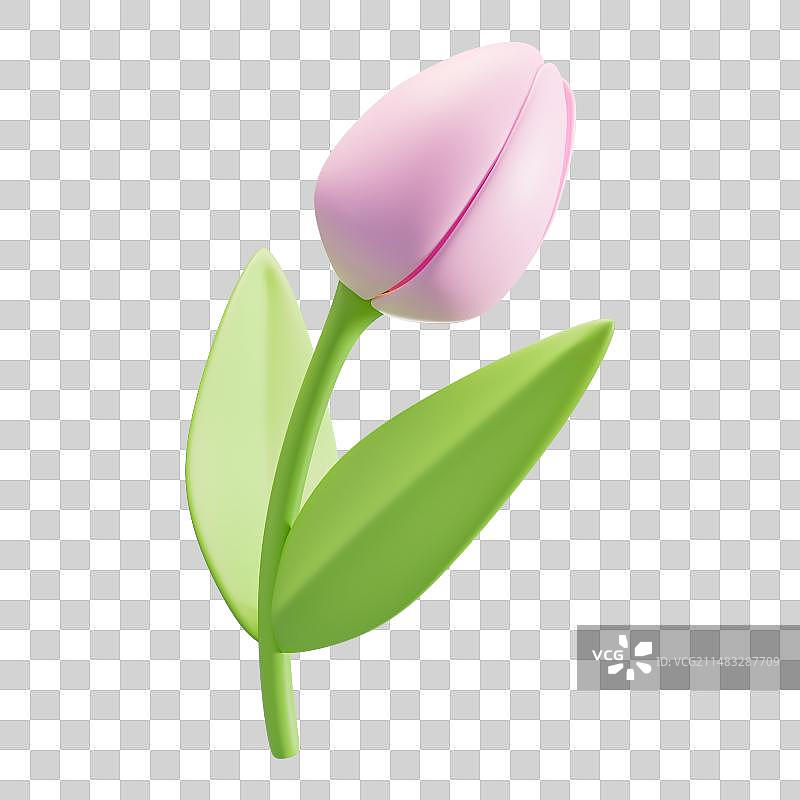 3D渲染元素立体郁金香春天踏青野花绿植图片素材