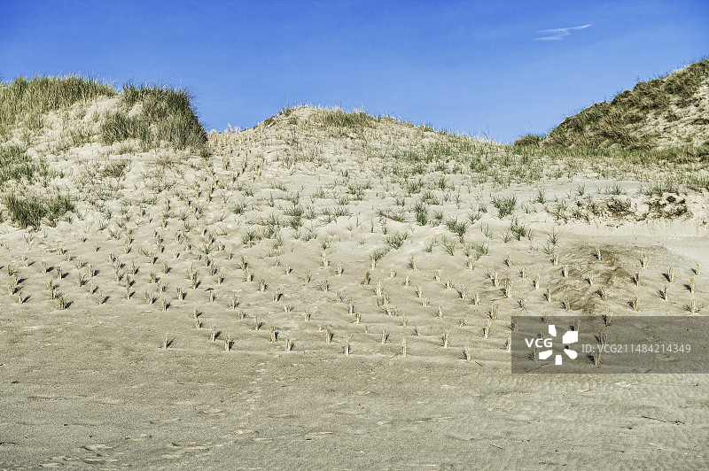 沙丘保护，美国特拉华州图片素材