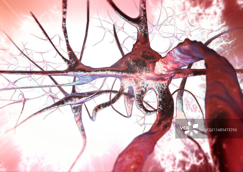 神经细胞，电脑艺术品图片素材