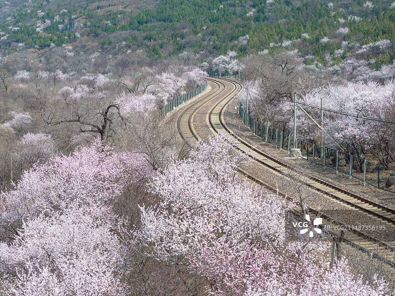 春天航拍北京S2线铁路和居庸关花海图片素材