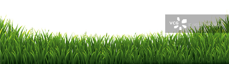 绿草边界和孤立的白色背景图片素材