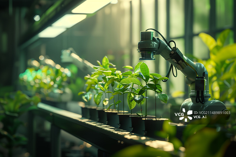 【AI数字艺术】温室里的机械臂种植植物特写镜头图片素材