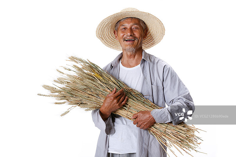 一个农民手抱麦穗图片素材
