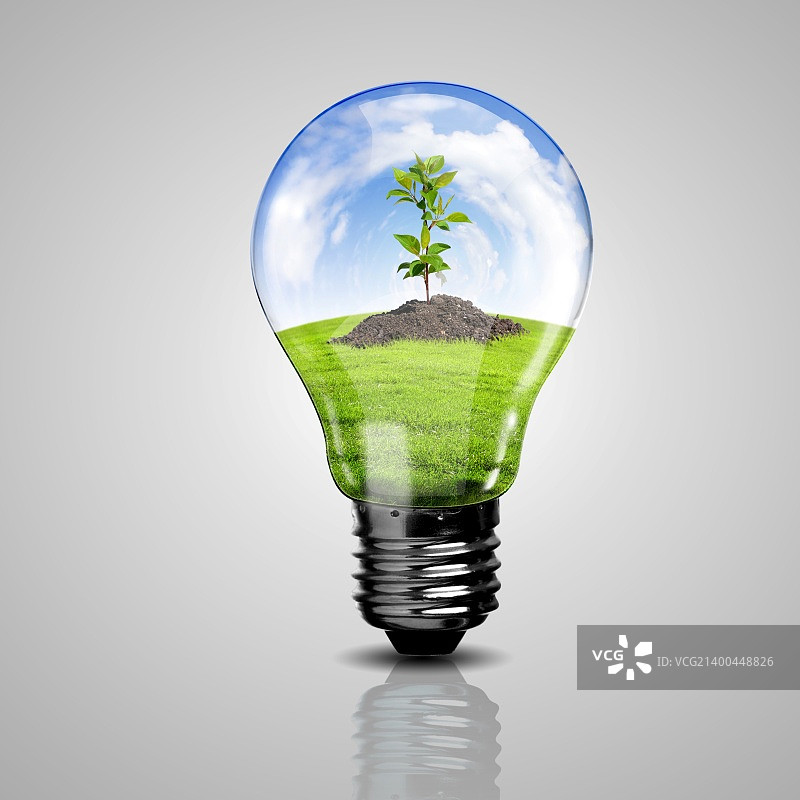 电灯泡和里面的植物作为绿色能源的象征图片素材