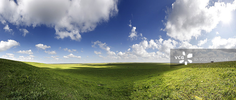 风景秀丽的呼伦贝尔海拉尔草原图片素材