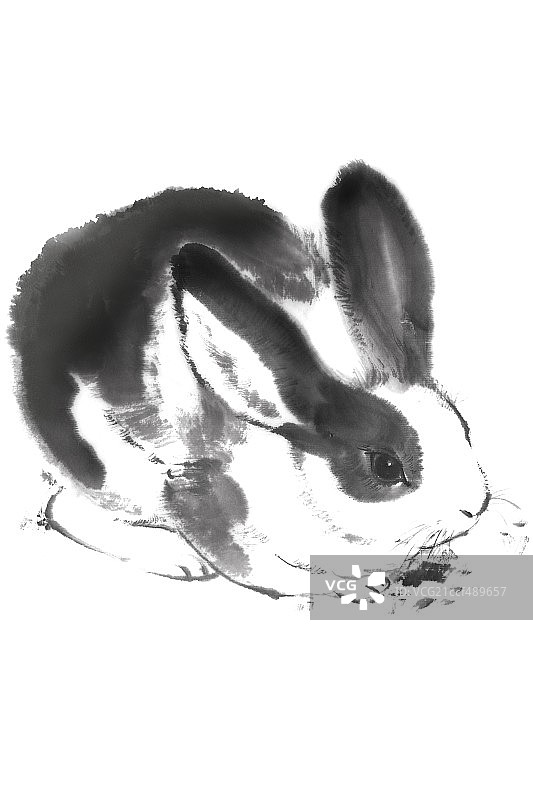 国画兔子图片素材