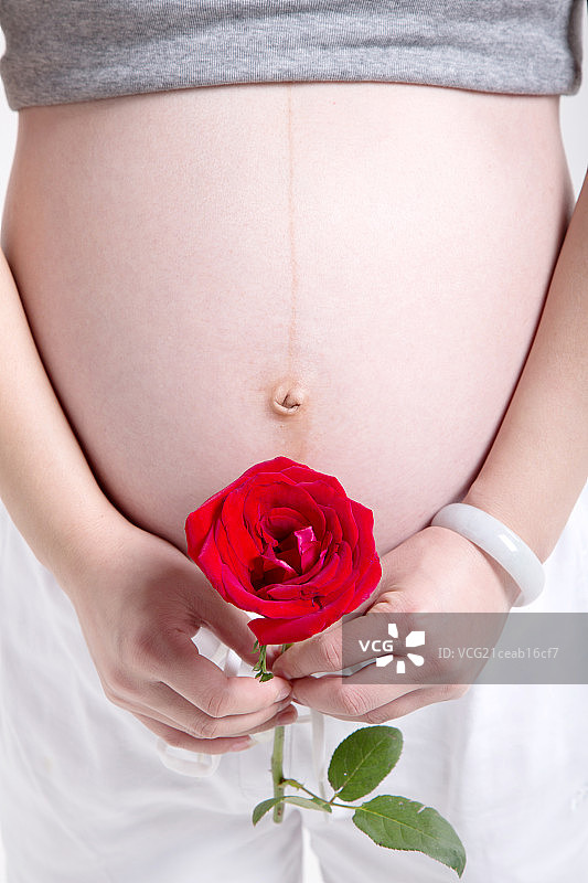 孕妇拿着玫瑰花图片素材