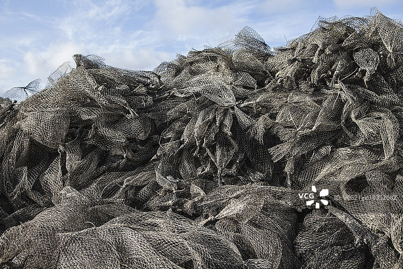 牡蛎养殖场中用于贝类水产养殖的网。Oysterville美国图片素材