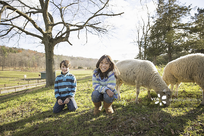 两个孩子在动物庇护所，在一个牧羊的围场里。图片素材