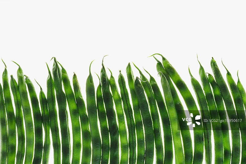 白色背景上的有机绿菜豆图片素材