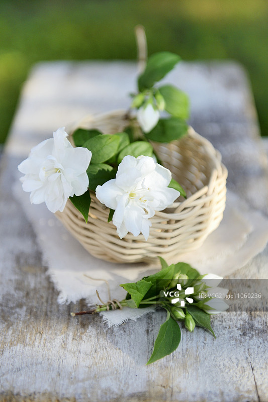 花园桌上的小篮子里放着白色的茉莉花图片素材