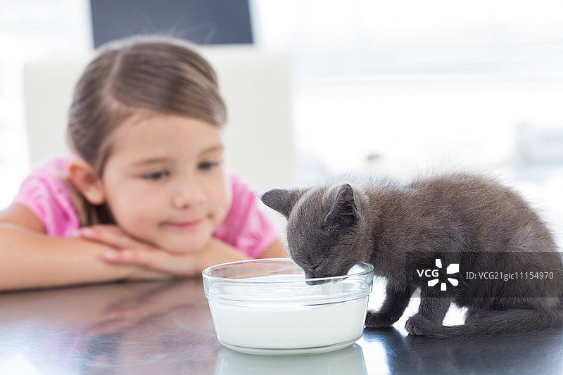 小女孩看着小猫从碗里喝牛奶图片素材