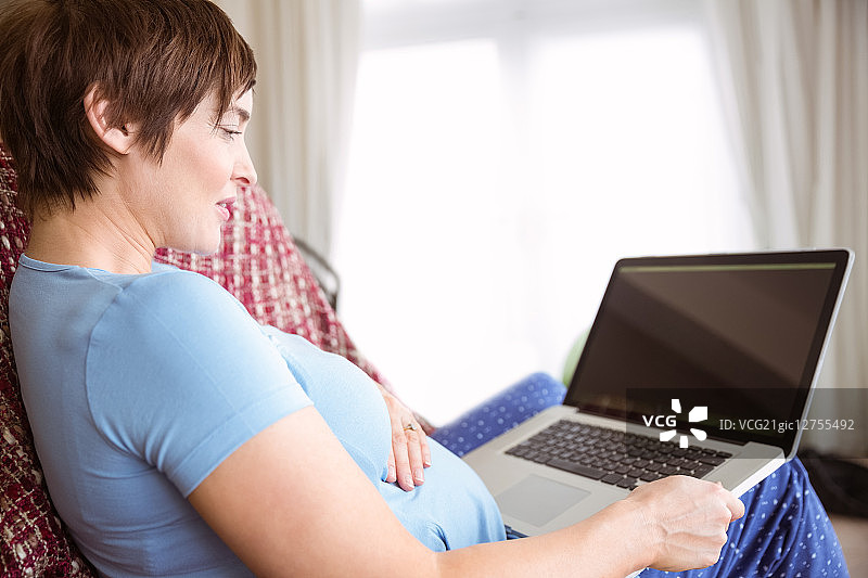 孕妇在客厅里用笔记本电脑图片素材