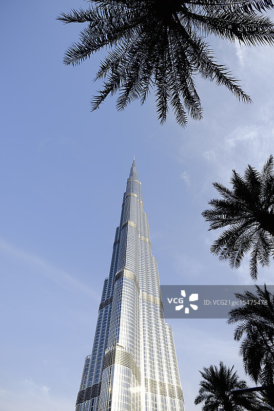 低视角看棕榈树环绕的迪拜地标建筑哈利法塔图片素材