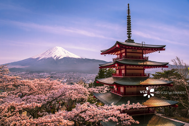 樱花富士山图片素材