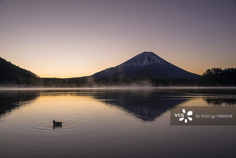 清晨，日本越真地区山梨县藤川口子镇，正二湖倒映着富士山图片素材