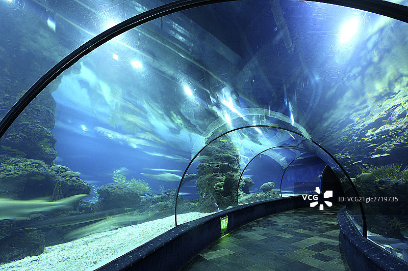 Aquarium图片素材