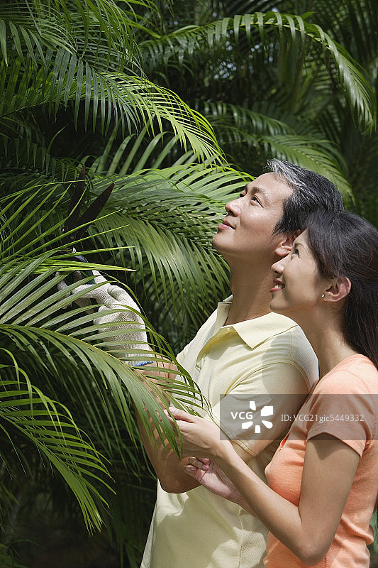 一对夫妇在室外的花园里，研究棕榈树图片素材