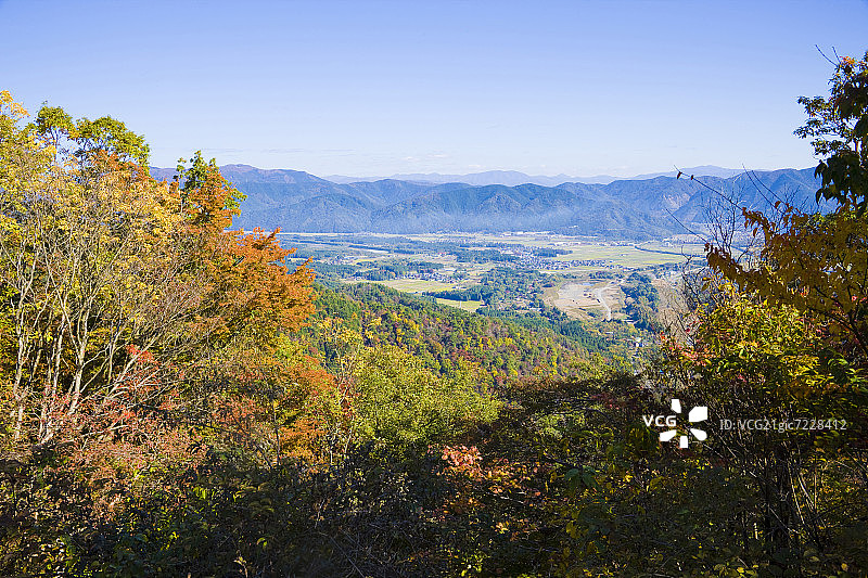 秋天的森林，高岛，志贺县，日本图片素材