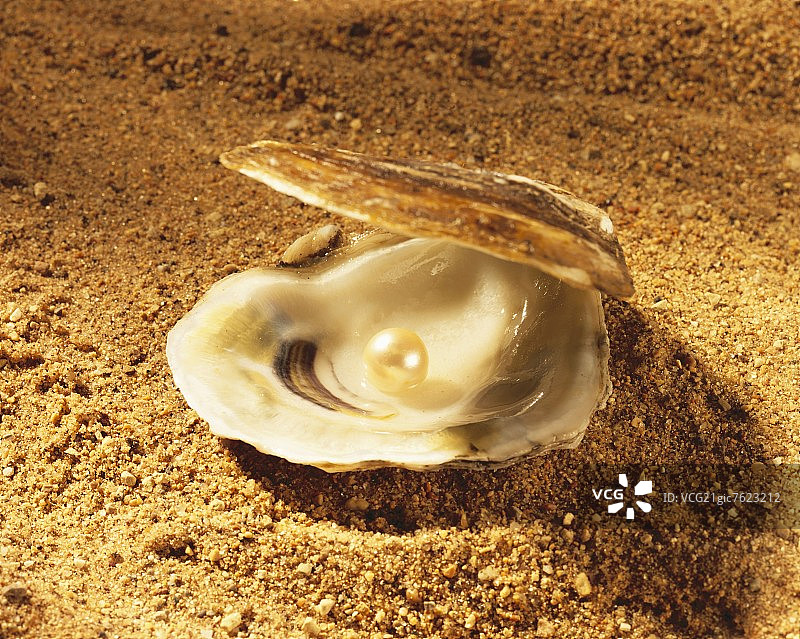打开的牡蛎壳和沙子上的珍珠图片素材