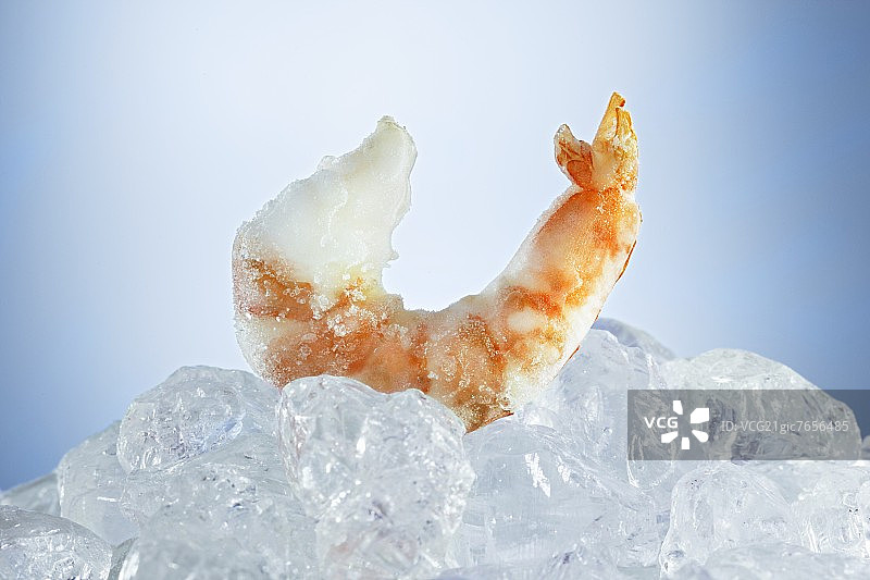 冷冻虾图片素材