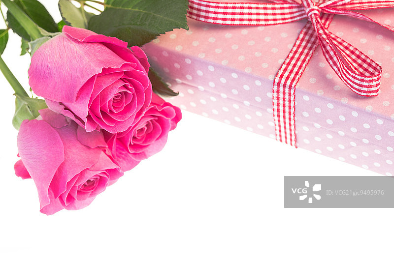 粉红色的玫瑰在粉红色的圆点包裹礼物与格子布缎带与复制空间图片素材
