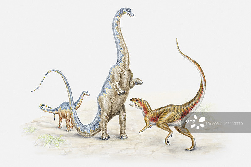 这是一幅迷惑龙用后腿直立起来对抗兽脚亚目恐龙的插图，以保护幼小的侏罗纪时期图片素材