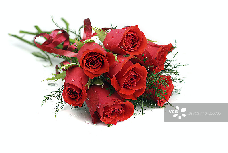 带有水滴的红玫瑰花，孤立在白色上图片素材