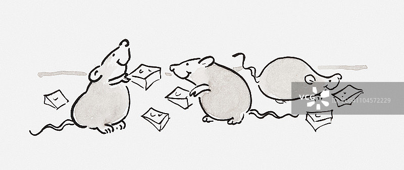 黑白插图的三只老鼠吃奶酪图片素材