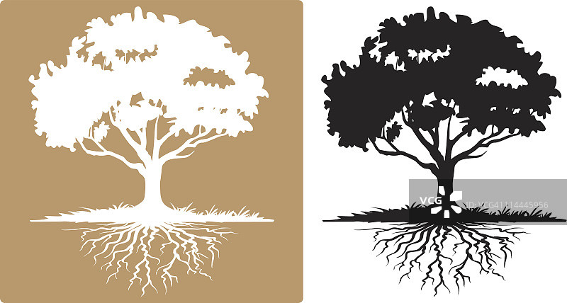 两棵树与可见的根白色和黑色剪影图片素材