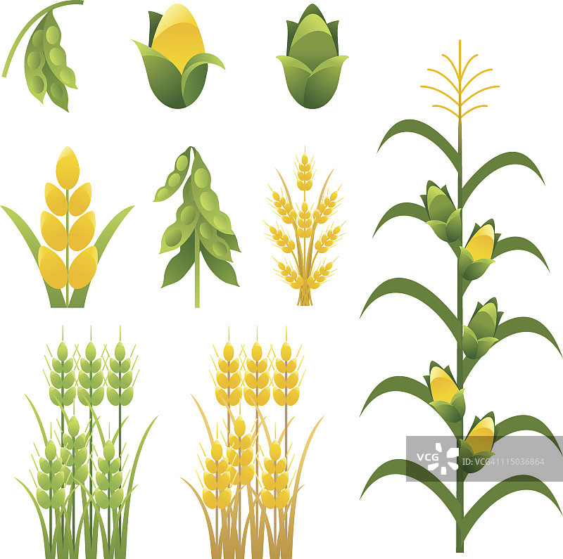 农业农作物和植物图标九组图片素材