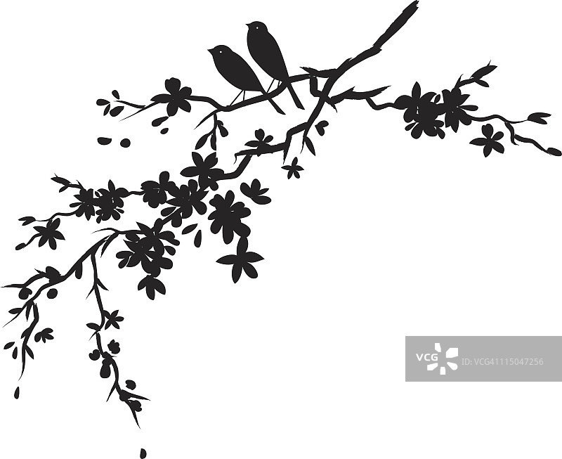 两只小鸟坐在樱花枝头黑色的剪影上图片素材