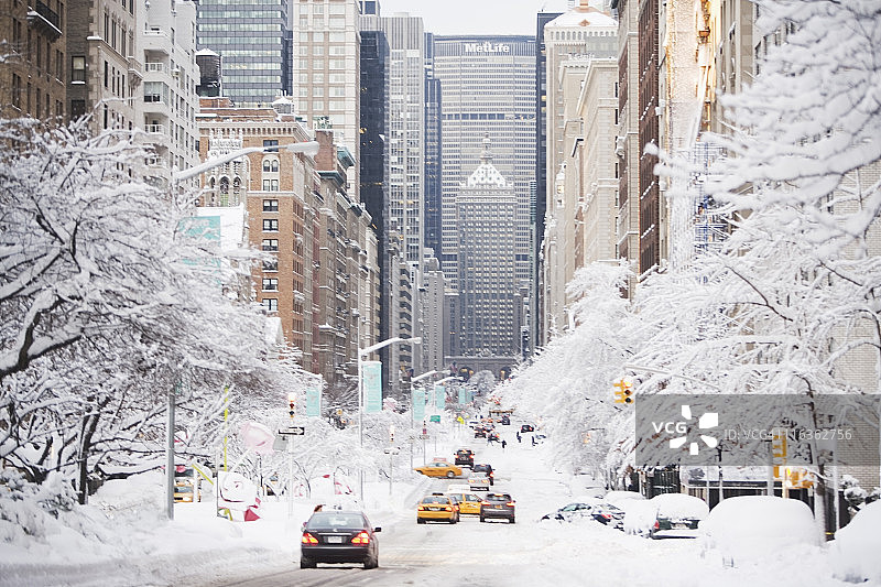 美国，纽约市，冬天的公园大道图片素材
