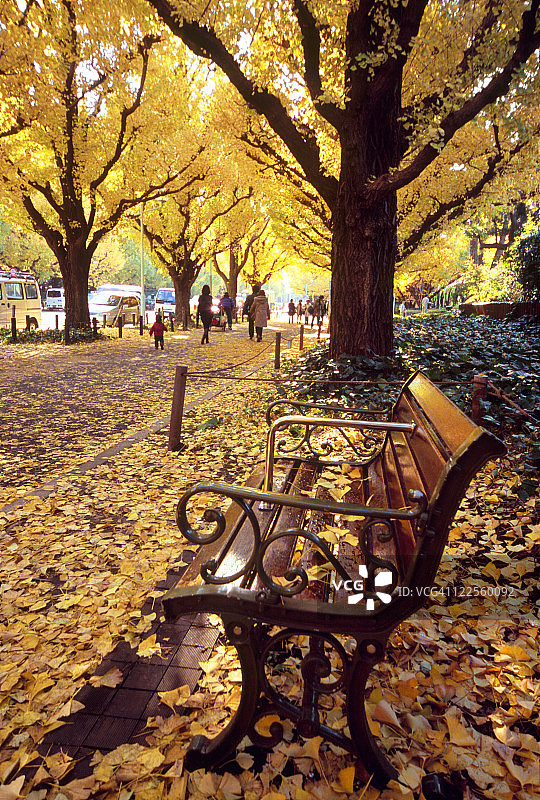长凳和秋叶，港人，东京，日本图片素材
