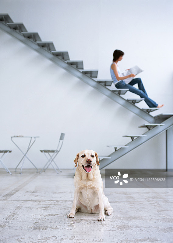 狗和女人坐在楼梯上图片素材